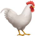 Galo