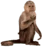 Macaco